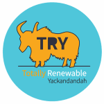 TRY logo - image of a golden yak on a blue background