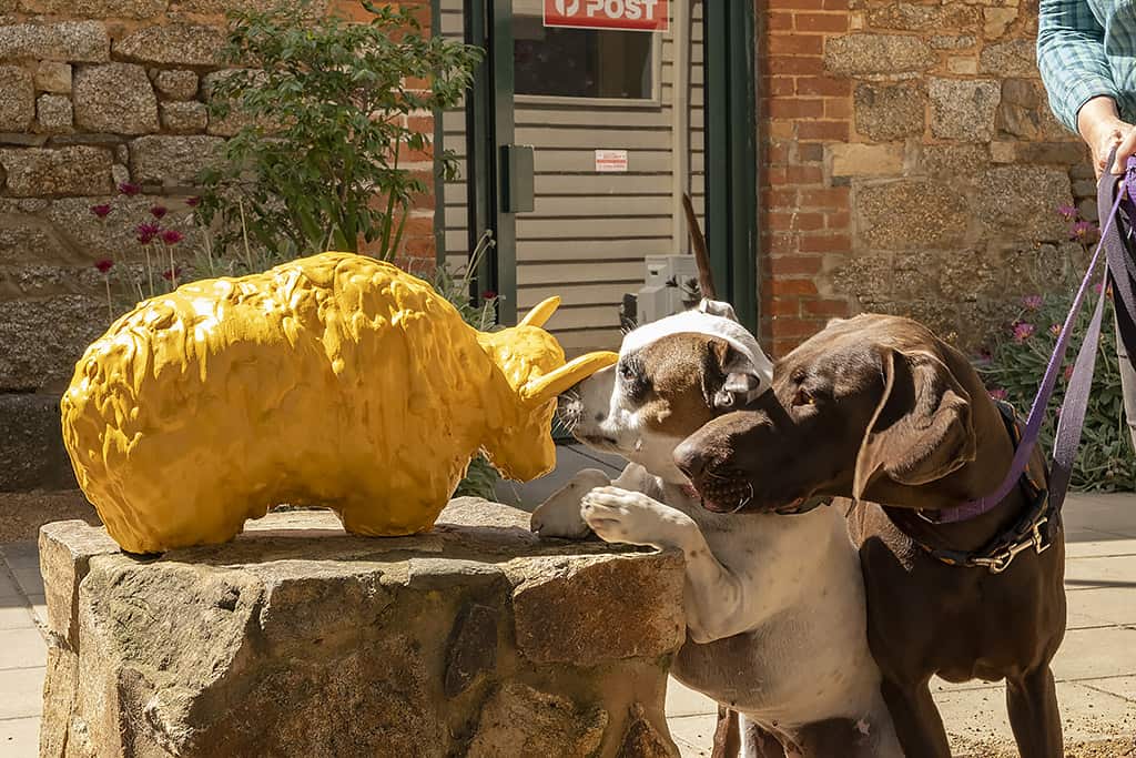 A small dog is touching its nose to a yellow plaster yak with another dog looking over the first dogs shoulder, with a stone building in the background